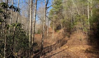 135 49ac Webb Creek Rd, Andrews, NC 28901