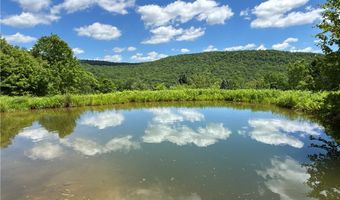2613 Murphy Hill Rd, Andes, NY 13731