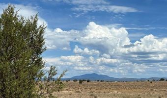 10 NW Chain Ranch Rd, Ash Fork, AZ 86320