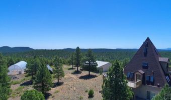 22010 Steffi Dr, Aguilar, CO 81020