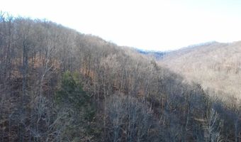 14001 Ridgeview Nellis Rd, Ashford, WV 25142