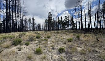 0 Shasta Fir Ln 9, Beatty, OR 97621