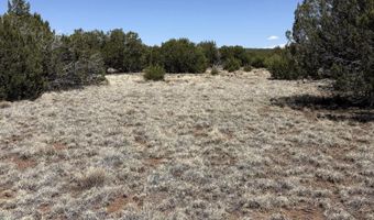 20 SE Kirkwood N8715 Rd, Concho, AZ 85924