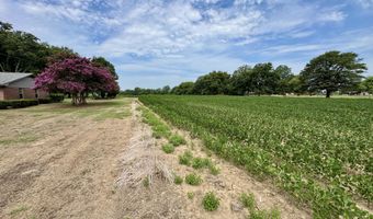 1407 Shaw Skene Rd, Boyle, MS 38730