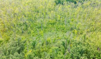 45 Acres 108th Ave, Allegan, MI 49010