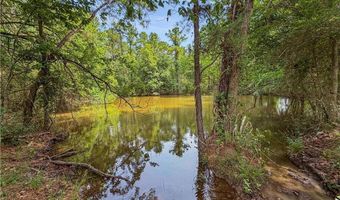 6779 County Road 215, Anderson, TX 77830