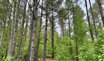 Mount Carmel Road, Bailey, MS 39320
