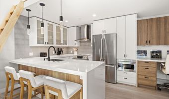 910 W Hallam St 9, Aspen, CO 81611