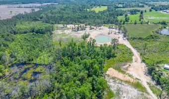 Chad Lake Rd, Alma, GA 31510
