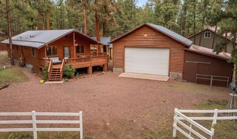 11 Whitetail Rd, Alpine, AZ 85920