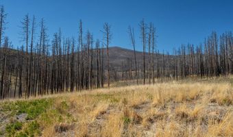 777 Powder Horn Trl, Bellvue, CO 80512
