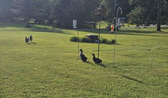 8141 Long Rapids Rd, Alpena, MI 49707
