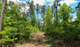 Lot 10 Booster Club Road, Bainbridge, GA 39819