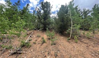 847 COUNTY ROAD 787, Alma, CO 80420