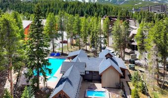 805 Columbine Rd 102, Breckenridge, CO 80424