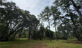 Tbd NW 67TH BOULEVARD, Alachua, FL 32615