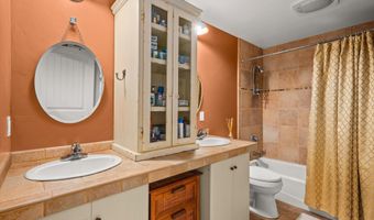 255 Little Pinon, Basalt, CO 81621