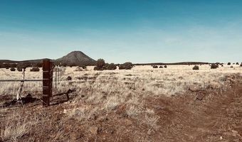 90 C Volcano Trl, Ash Fork, AZ 86320