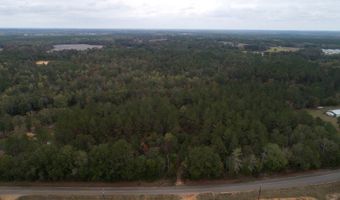 9 3 +/- Acres Airport Rd, Andalusia, AL 36421
