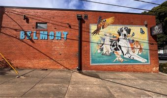 1017 Pegram St, Charlotte, NC 28205