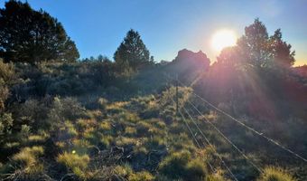 Wayside Circle 13, Beatty, OR 97621