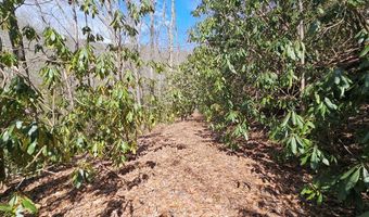 16 Warrior Way Lot 16, Andrews, NC 28901