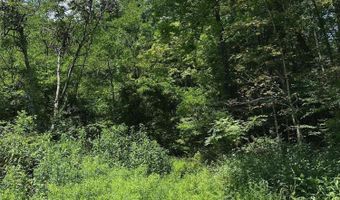 Bryant Hollow Road, Alderson, WV 24910