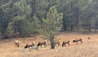 County Road 59, Allenspark, CO 80510