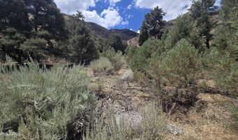 1548 Moss Cir, Gardnerville, NV 89410