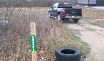 2327 McMichael Rd, Alanson, MI 49706