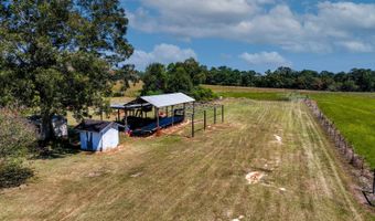 24536 Harmony Church Rd, Andalusia, AL 36421