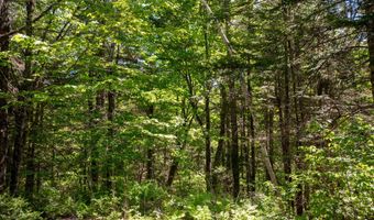 131 Gales Rd, Abbot, ME 04406