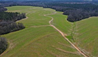 0 Tervin Mill Rd, Andalusia, AL 36421