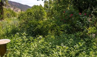 216 E Homestead Dr, Basalt, CO 81621