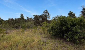WALAKA DR, Ocean View, HI 96737