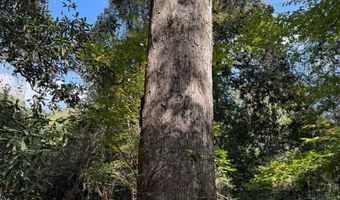 971 Somerset Rd SE, Bogue Chitto, MS 39629