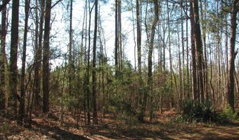 Buckhead Rd, Blair, SC 29015