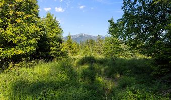 13471 Sundance Trl, Bigfork, MT 59911