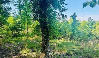 Grants Mill Rd W, Bennettsville, SC 29512
