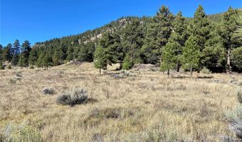 166 Lonesome Pine Dr, Antonito, CO 81120