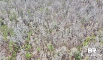 21000 Block Highway 21, Beatrice, AL 36425