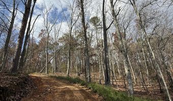 Parksville Road lot 1, Benton, TN 37307