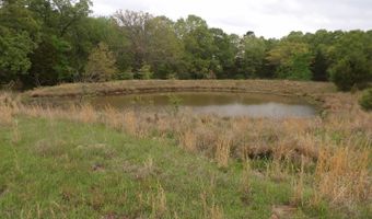 4100 Six Mile Rd N, Antlers, OK 74525
