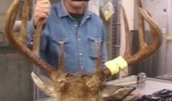 4495 County Road 405, Alton, MO 65606