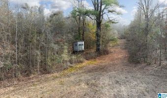 BRUSH CREEK DRIVE lot 0, Akron, AL 35441