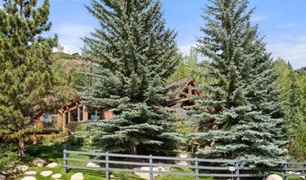 411 Willoughby Way, Aspen, CO 81611