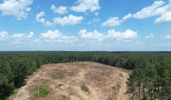 SE Cole Drive, Bogue Chitto, MS 39629