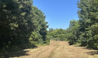 001 Farr Rd, Bolton, MS 39041