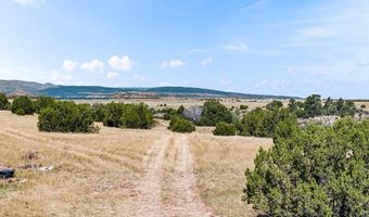 7015 Burnt Mill Rd, Beulah, CO 81023