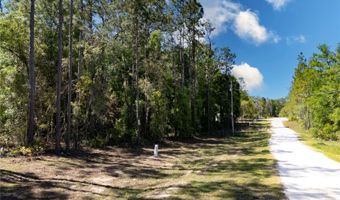 0 NE 101ST Ter, Archer, FL 32618